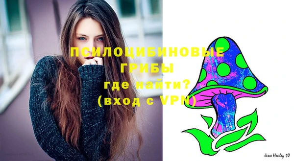 ECSTASY Алексеевка