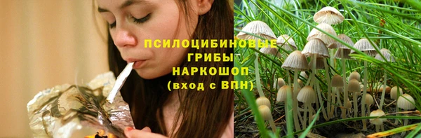 ГАЛЛЮЦИНОГЕННЫЕ ГРИБЫ Алзамай