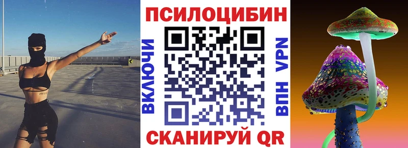 цена   Староминская  Псилоцибиновые грибы Cubensis 